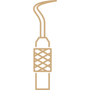 Palma Dental
